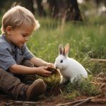 ce-mananca-iepurii-de-casa