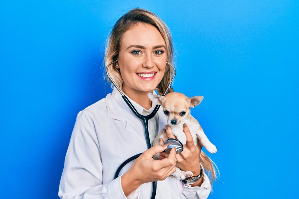 veterinar-non-stop-bucuresti-1